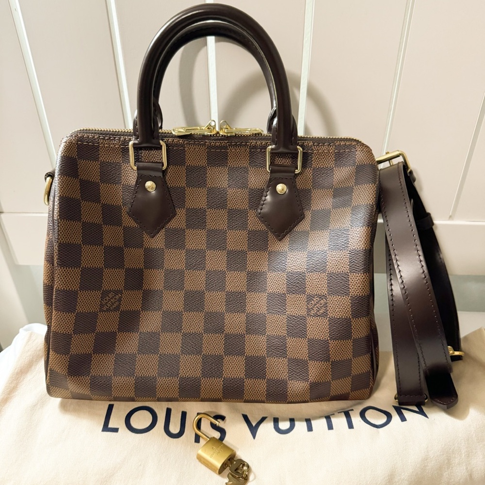 Louis Vuitton Speedy 25 Damier Ebene